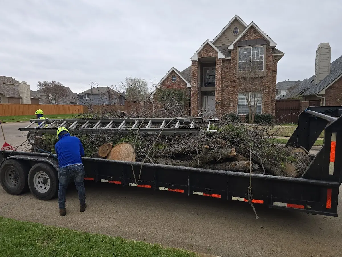 Expert Lot Clearing with proper safety equipment in Thomaston